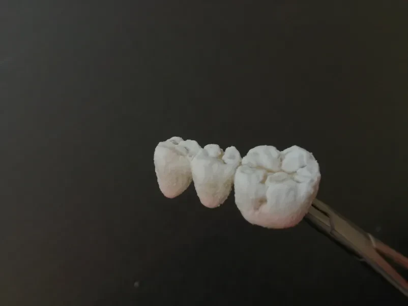 Zobotehnični laboratorij Postojna