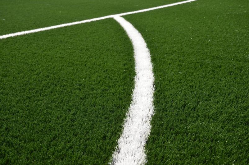 Artificial grass for sports facilities