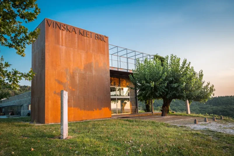 Degustacija vina in voden ogled vinske kleti Obala
