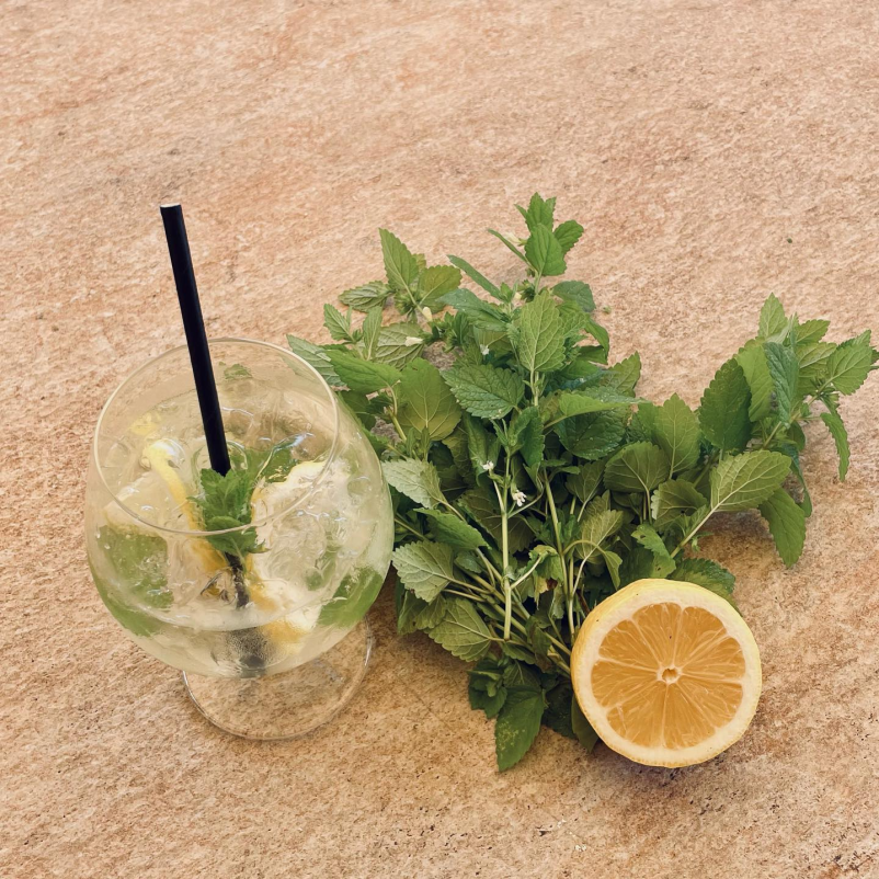 kavarna Kranj center