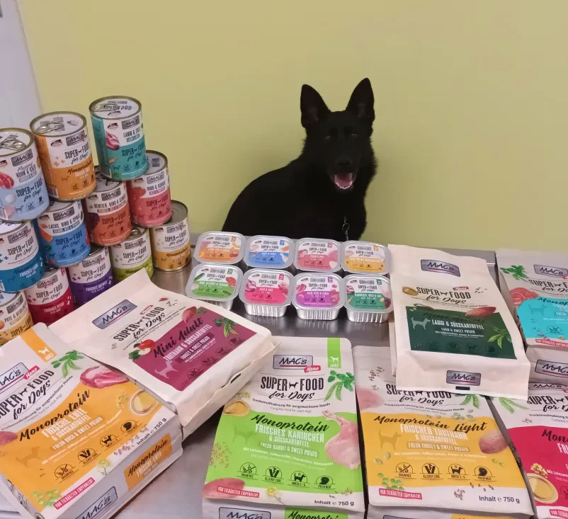 Veterinar