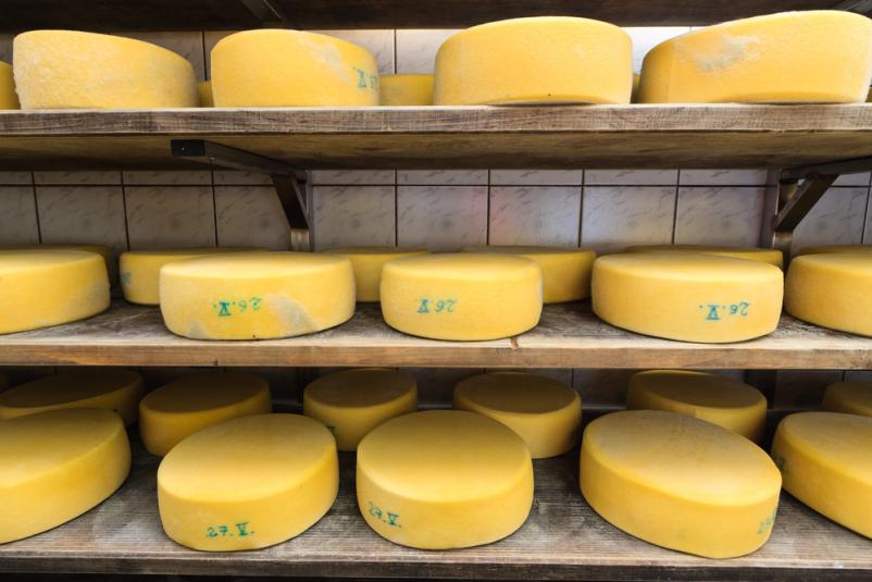 Prodaja mlečnih izdelkov Vipava