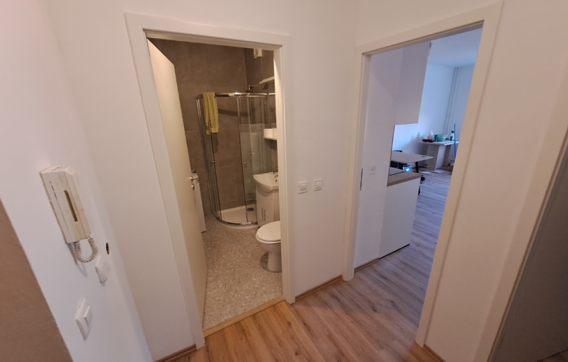 Adaptacija stanovanj Ljubljana