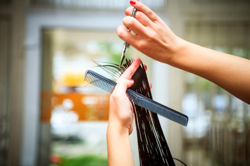 Striženje Polhov Gradec