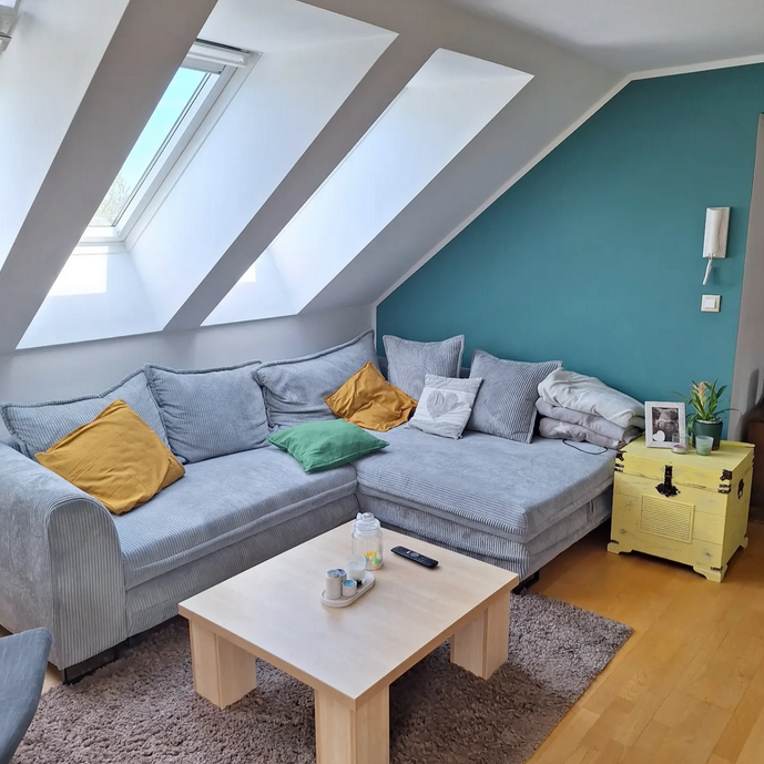 slikopleskarstvo Dolenjska