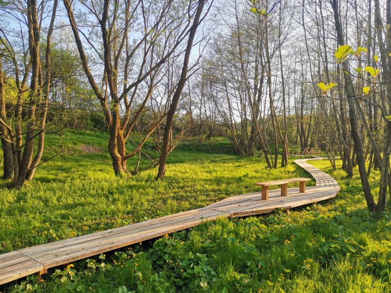 Dejavnosti občine Moravske Toplice