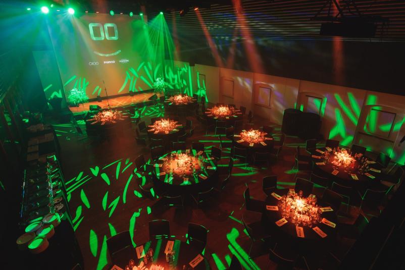 Organiziranje dobrodelnih dogodkov Slovenija