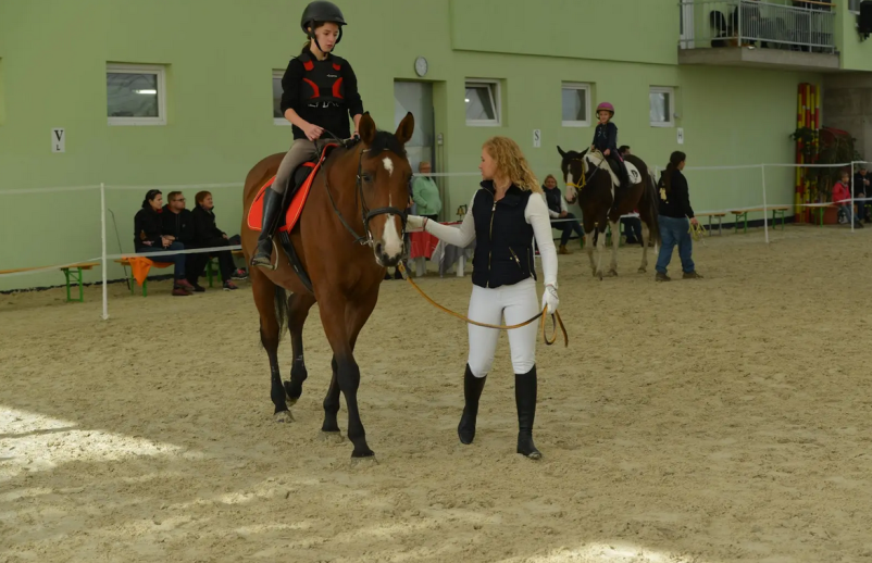 Aktivnosti za otroke s konji Celje, Savinjska