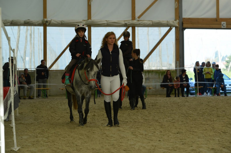 Jahanje konj za otroke Celje