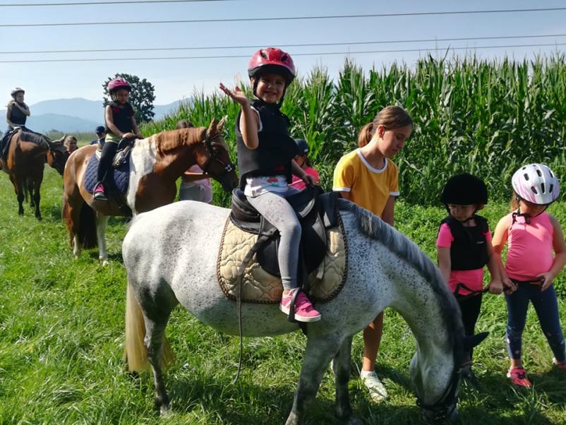 Učenje jahanja konj