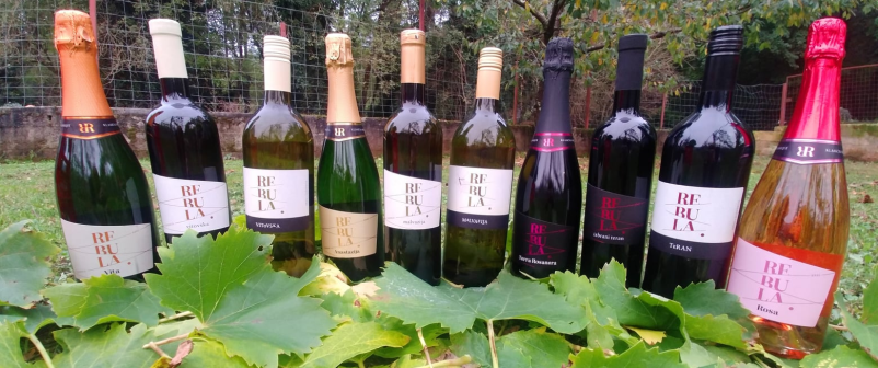 Degustacija vina Primorska