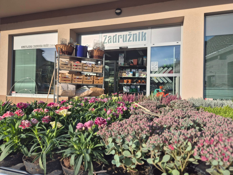 Kmetijski repromaterial Ruše