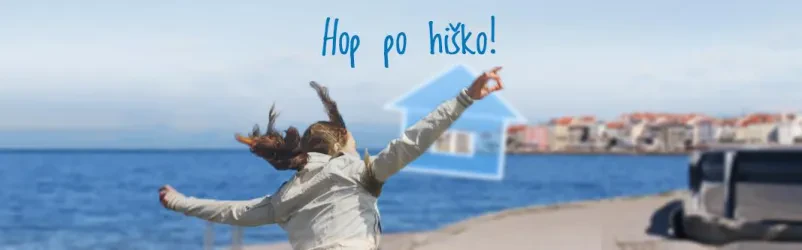 Renes nepremičnine