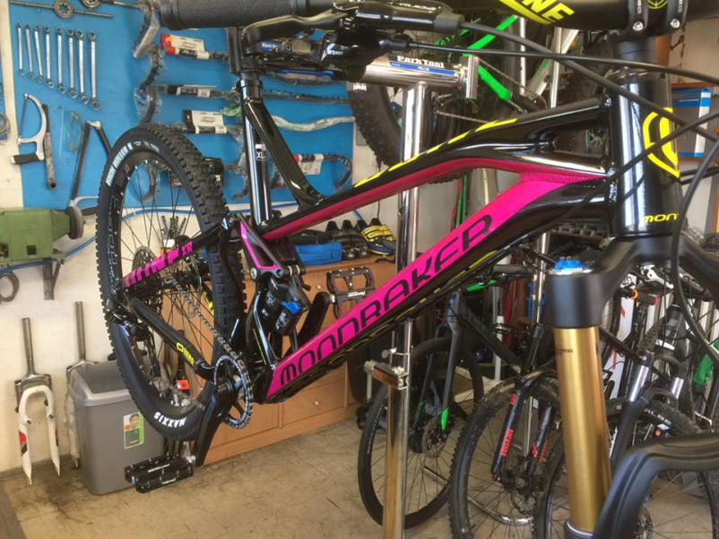 Servis gorskih koles