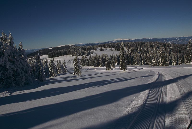 Šola smučanja na Pohorju