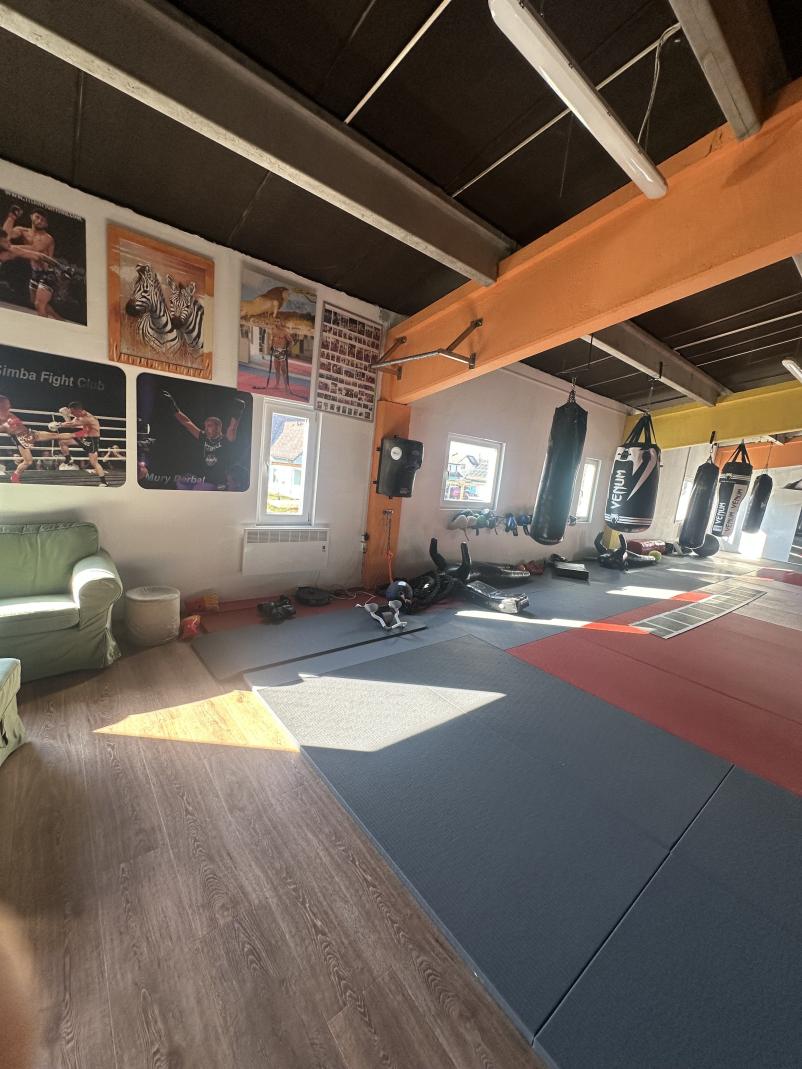 Osebni trener za borilne veščine Ljubljana in okolica