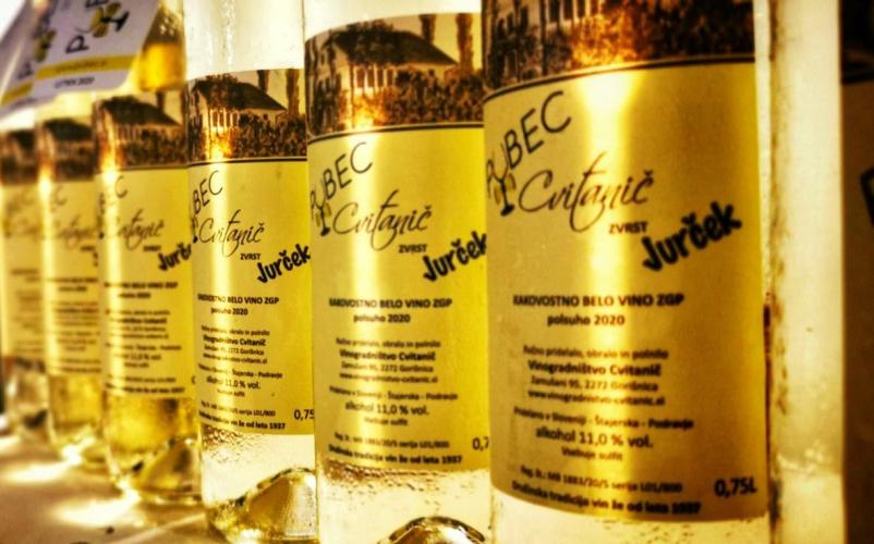 Vinogradništvo Ptuj