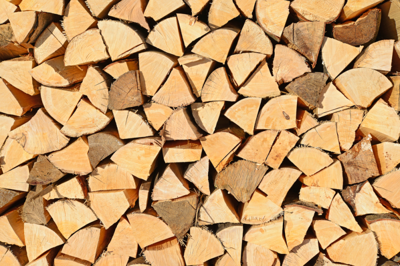 Hitro žaganje lesa Podravska