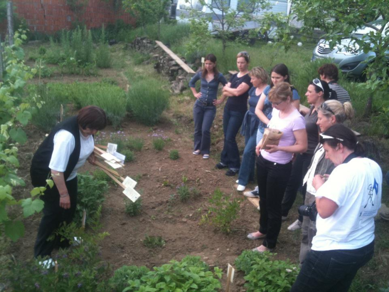 Zeliščarski tečaj na Primorskem