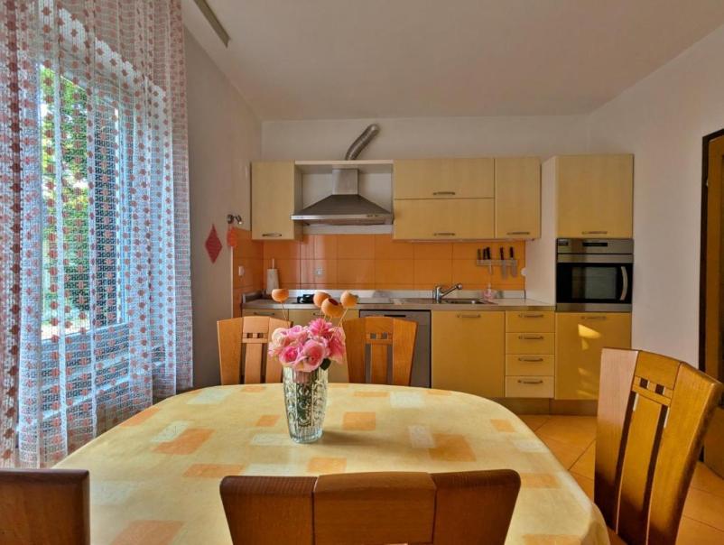 Najem apartmaja v Ospu, Črnem Kalu