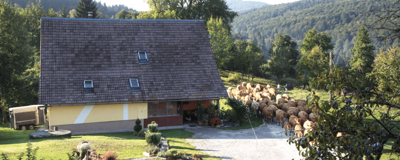 Ugoden apartma na Kočevskem
