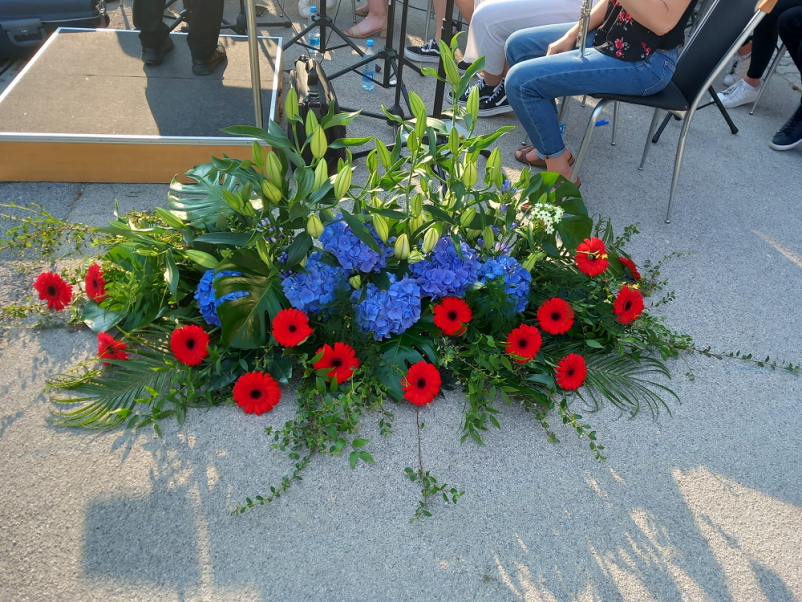 Balkonsko cvetje Celje