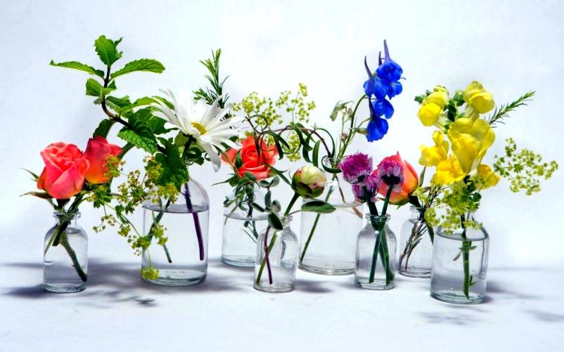 Šopek rož, cvetličarna Šmartno pri Litiji