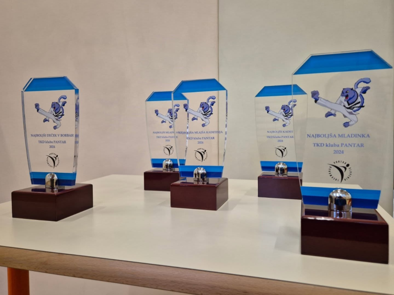 Tekmovalni tekvando Ljubljana