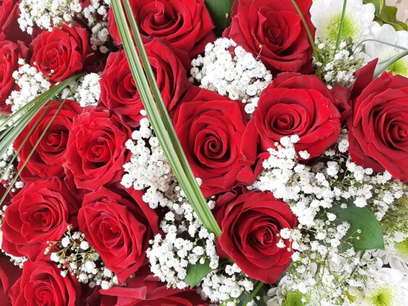 Dobra cvetličarna Lendava