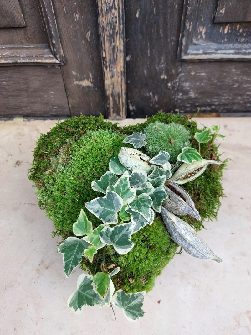 Obiščite dobro cvetličarno v Lendavi!