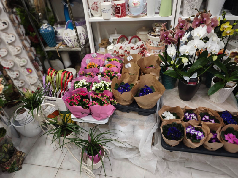 Ugodna in dobra cvetličarna Radeče