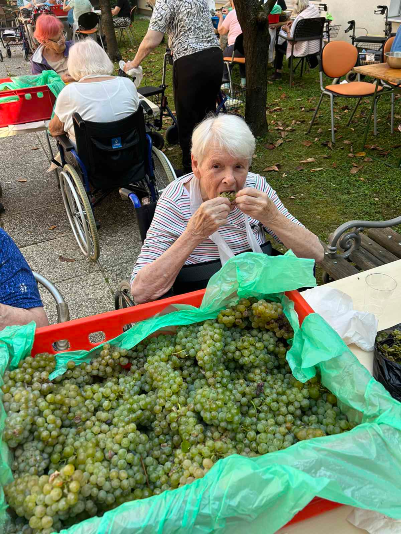 Dostava kosil starejšim