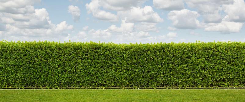 Urejanje vrtov Slovenija