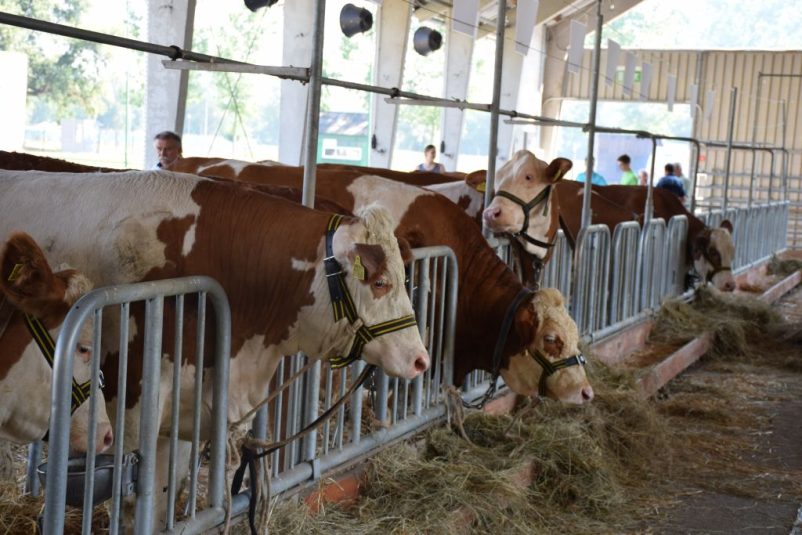 Slovenije kmetijsko gozdarski zavod Murska Sobota