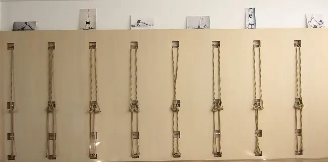 Funkcionalna vadba