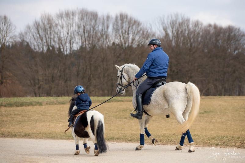 Dobra jahalna šola Gorenjska, Osrednja Slovenija
