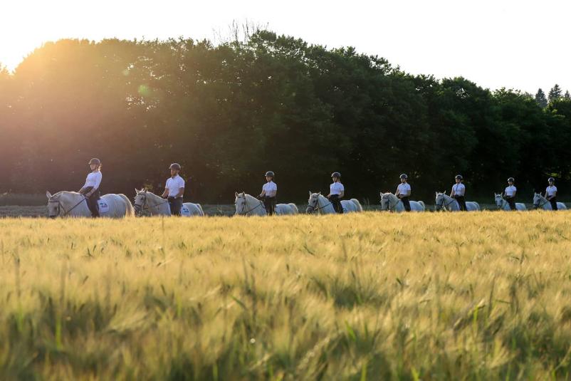 Dobra jahalna šola Gorenjska