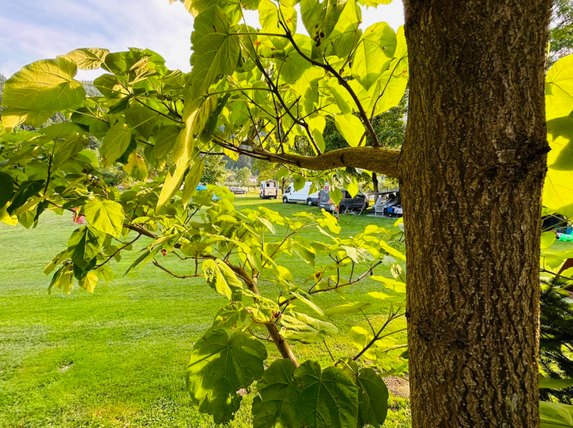 Kampiranje v naravi Slovenija