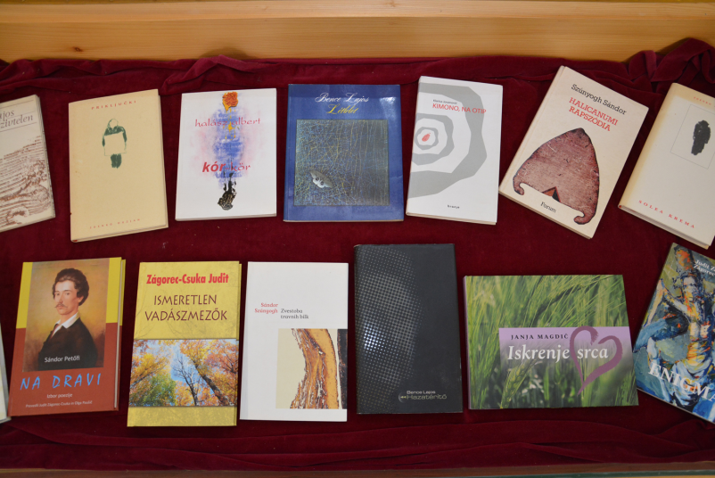 Izposoja knjig Lendava