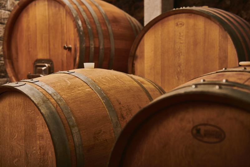 Kvalitetna rdeča in bela vina s Krasa