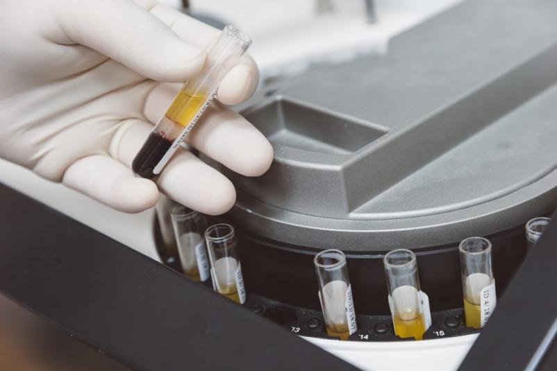 Medicina dela Slovenska Bistrica