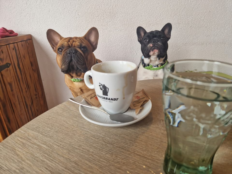 Najboljša kavarna Trzin