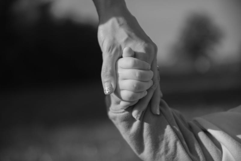 Ugoden najem fotografa Rakek, Cerknica