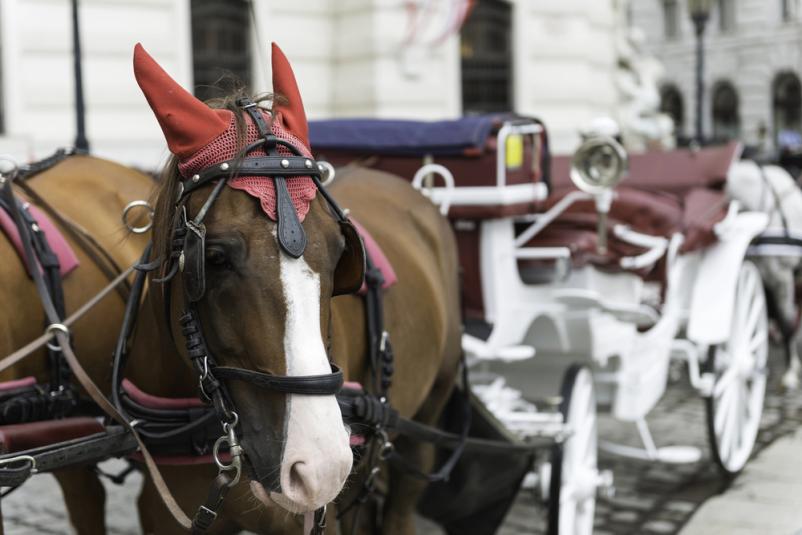 Ugoden najem kočije