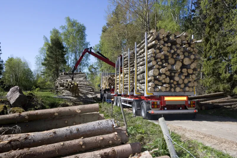 Ugodna hlodovina Črnomelj