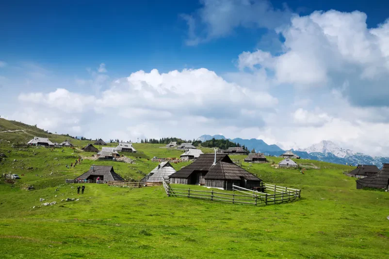Organization of tours Slovenia and abroad