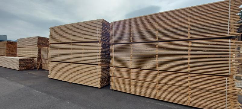 Ugodna in hitra predelava lesa na Štajerskem