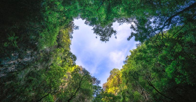 Proizvodnja vodika in energije iz odpadne plastike v Sloveniji