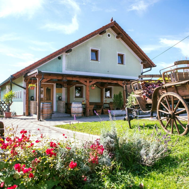 Zaključene skupine Maribor