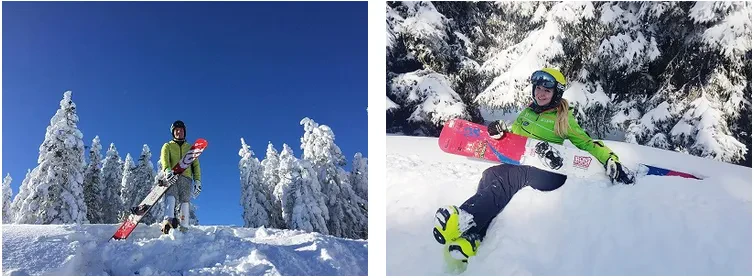 Snowboards